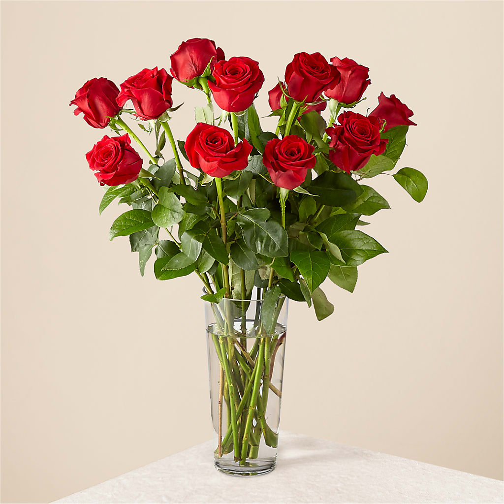 Long Stem Red Rose Bouquet – Shoshana Flower Llc, Jackson NJ