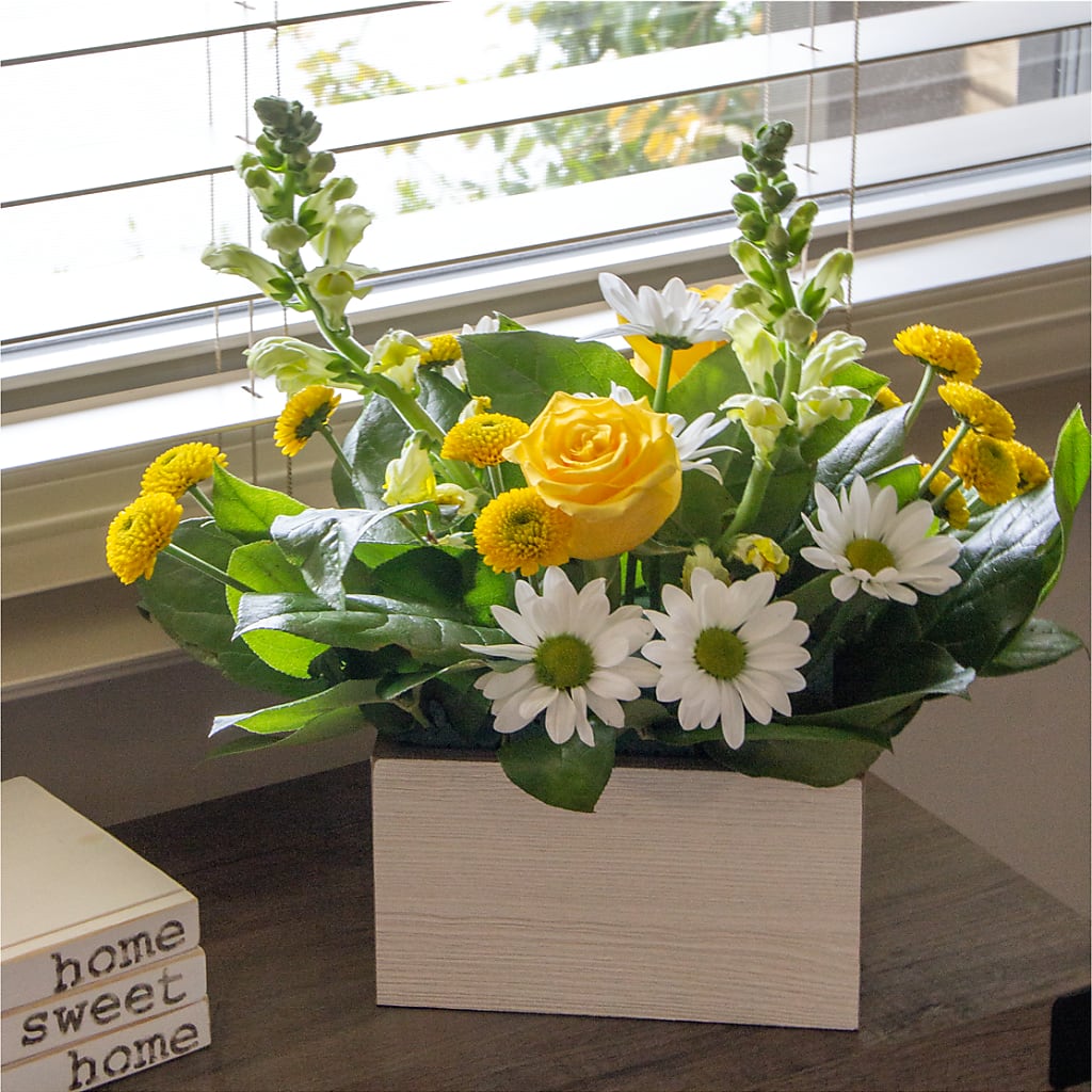 Sun Salutation Box Bouquet – Shoshana Flower Llc, Jackson NJ