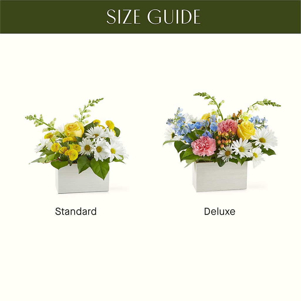 Sun Salutation Box Bouquet –  Shoshana Flower Llc, Jackson NJ