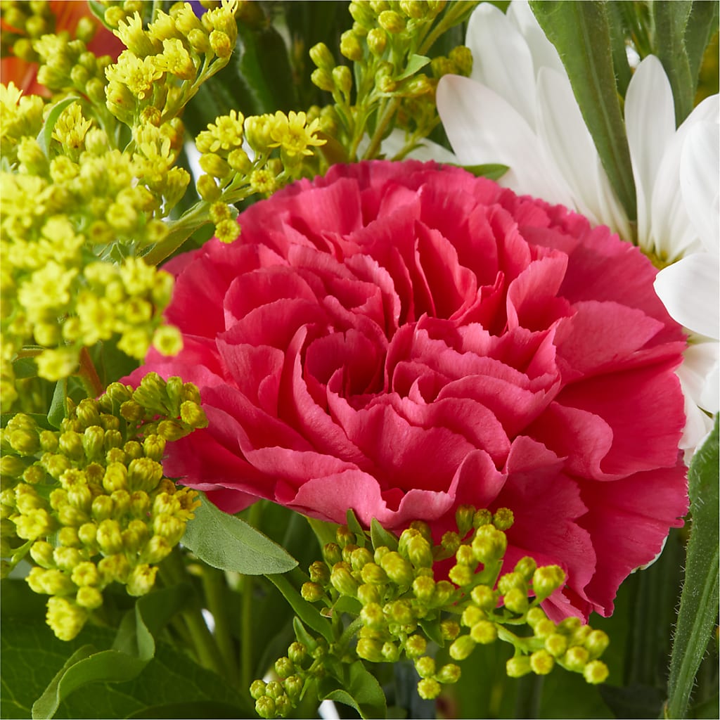 Oopsie Daisy Bouquet –  Shoshana Flower Llc, Jackson NJ