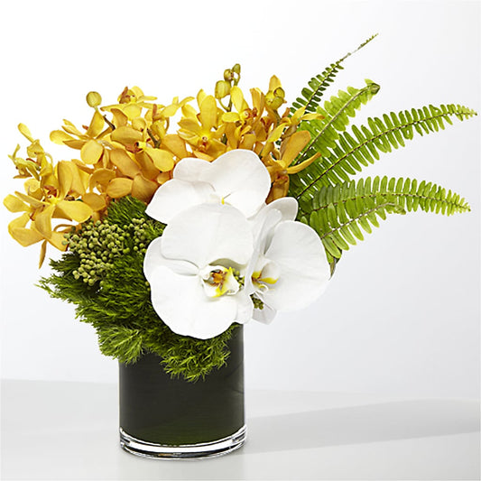 The Tropics –  Shoshana Flower Llc, Jackson NJ