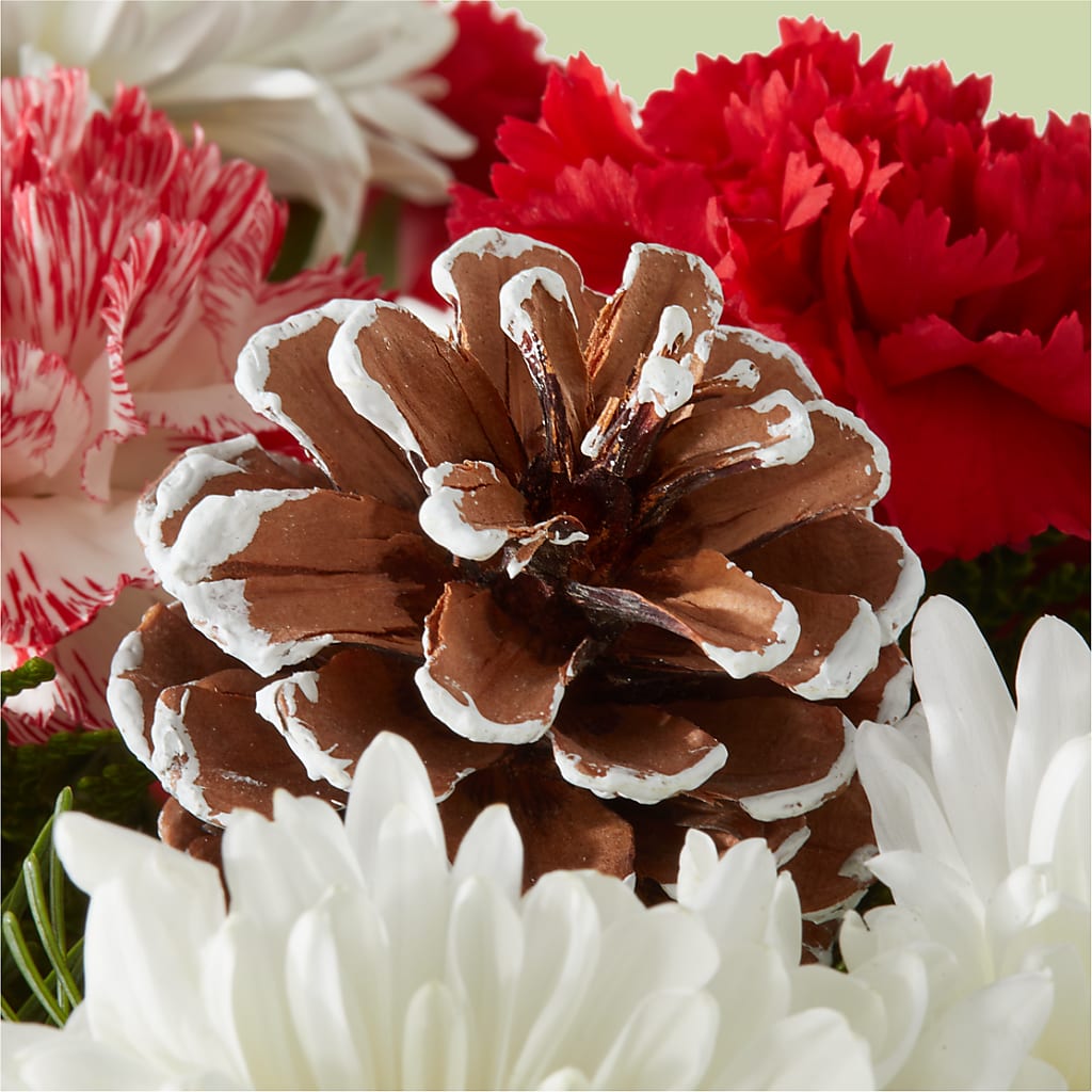 Candy Cane Lane Bouquet –  Shoshana Flower Llc, Jackson NJ
