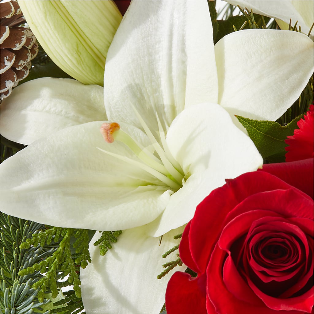 Oh So Jolly Bouquet –  Shoshana Flower Llc, Jackson NJ