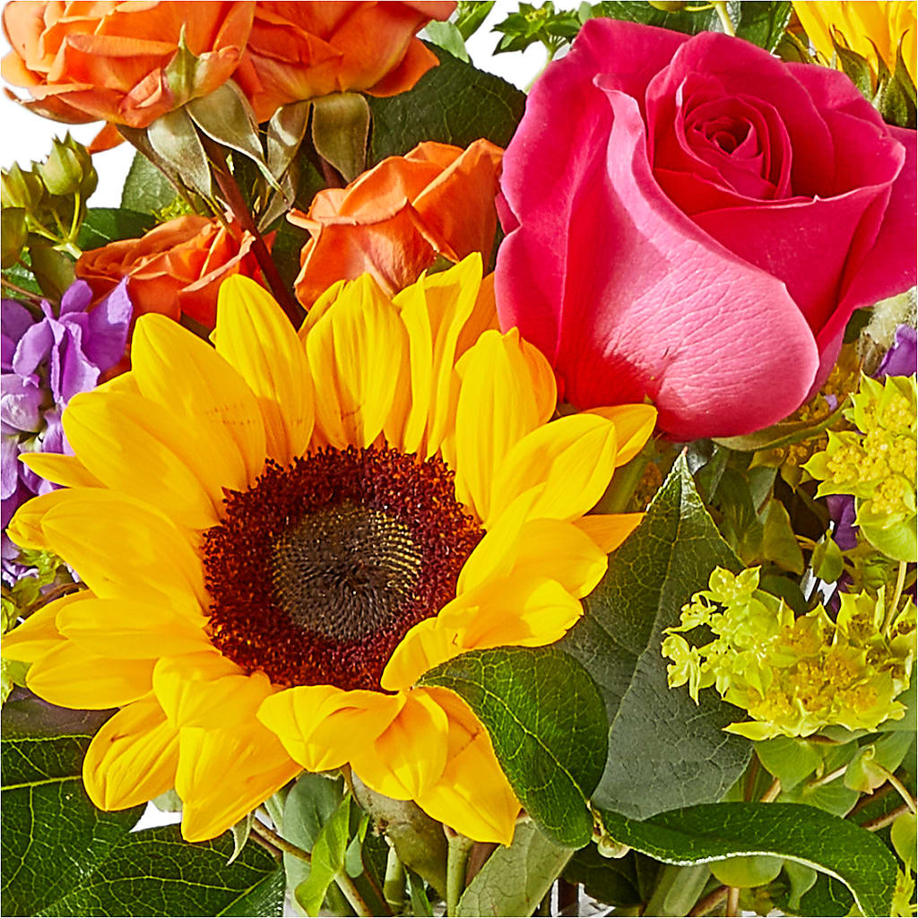 Vibrant Greetings Bouquet –  Shoshana Flower Llc, Jackson NJ
